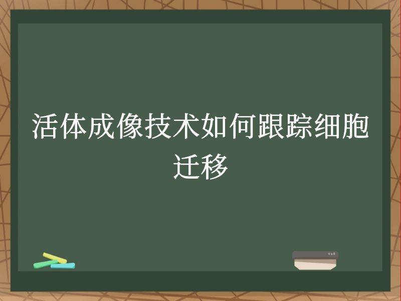 活体成像技术如何跟踪细胞迁移